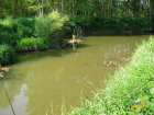 foto/diskuze/z_lovu/2007/th-img12402.jpg