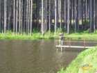 foto/diskuze/z_lovu/2007/th-img12403.jpg