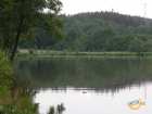 foto/diskuze/z_lovu/2007/th-img12450.jpg