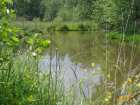 foto/diskuze/z_lovu/2007/th-img12582.jpg