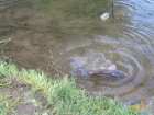 foto/diskuze/z_lovu/2007/th-img12619.jpg