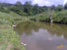 foto/diskuze/z_lovu/2007/th-img12627.jpg
