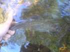 foto/diskuze/z_lovu/2007/th-img12687.jpg