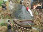 foto/diskuze/z_lovu/2007/th-img12699.jpg