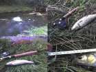 foto/diskuze/z_lovu/2007/th-img12759.jpg