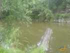 foto/diskuze/z_lovu/2007/th-img12767.jpg