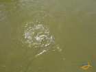 foto/diskuze/z_lovu/2007/th-img12885.jpg