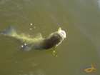 foto/diskuze/z_lovu/2007/th-img12886.jpg