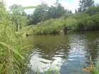foto/diskuze/z_lovu/2007/th-img12887.jpg