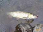 foto/diskuze/z_lovu/2007/th-img12901.jpg