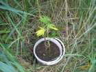 foto/diskuze/z_lovu/2007/th-img12921.jpg