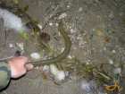 foto/diskuze/z_lovu/2007/th-img12989.jpg