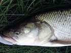 foto/diskuze/z_lovu/2007/th-img13002.jpg