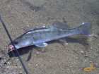 foto/diskuze/z_lovu/2007/th-img13007.jpg