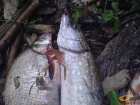 foto/diskuze/z_lovu/2007/th-img13041.jpg