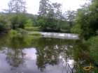 foto/diskuze/z_lovu/2007/th-img13054.jpg