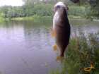 foto/diskuze/z_lovu/2007/th-img13107.jpg