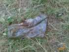 foto/diskuze/z_lovu/2007/th-img13199.jpg