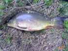 foto/diskuze/z_lovu/2007/th-img13275.jpg