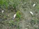 foto/diskuze/z_lovu/2007/th-img13307.jpg