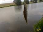 foto/diskuze/z_lovu/2007/th-img13394.jpg