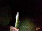 foto/diskuze/z_lovu/2007/th-img13402.jpg