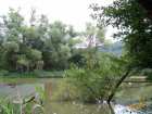 foto/diskuze/z_lovu/2007/th-img13600.jpg