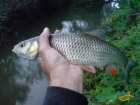 foto/diskuze/z_lovu/2007/th-img13618.jpg