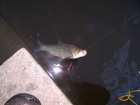 foto/diskuze/z_lovu/2007/th-img13625.jpg