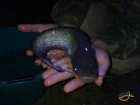 foto/diskuze/z_lovu/2007/th-img13640.jpg