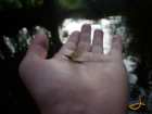 foto/diskuze/z_lovu/2007/th-img13837.jpg