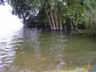 foto/diskuze/z_lovu/2007/th-img13840.jpg