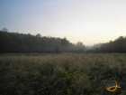 foto/diskuze/z_lovu/2007/th-img13892.jpg