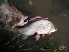 foto/diskuze/z_lovu/2007/th-img13999.jpg