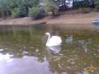 foto/diskuze/z_lovu/2007/th-img14002.jpg
