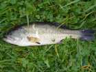 foto/diskuze/z_lovu/2007/th-img14033.jpg