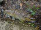 foto/diskuze/z_lovu/2007/th-img14042.jpg