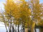 foto/diskuze/z_lovu/2007/th-img14135.jpg
