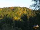 foto/diskuze/z_lovu/2007/th-img14220.jpg