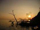 foto/diskuze/z_lovu/2007/th-img14245.jpg