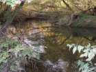 foto/diskuze/z_lovu/2007/th-img14264.jpg