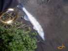foto/diskuze/z_lovu/2007/th-img14300.jpg