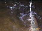 foto/diskuze/z_lovu/2007/th-img14304.jpg