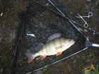 foto/diskuze/z_lovu/2007/th-img14355.jpg