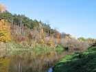 foto/diskuze/z_lovu/2007/th-img14461.jpg