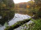 foto/diskuze/z_lovu/2007/th-img14517.jpg