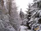 foto/diskuze/z_lovu/2007/th-img14716.jpg