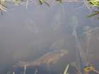 foto/diskuze/z_lovu/2007/th-img14781.jpg