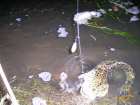 foto/diskuze/z_lovu/2007/th-img14856.jpg