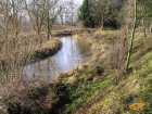foto/diskuze/z_lovu/2007/th-img15157.jpg